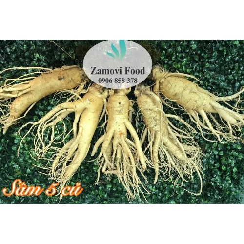 Sâm tươi Hàn Quốc (5 củ/kg)